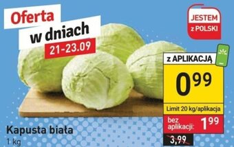 Stokrotka Kapusta biała 1 kg oferta