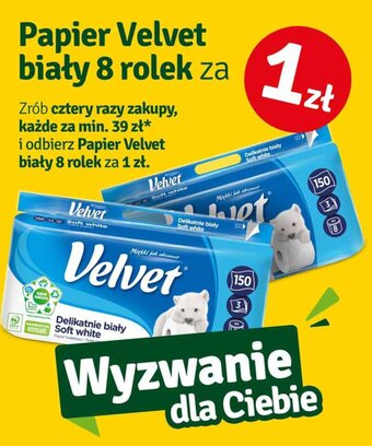 Stokrotka Papier Velvet biały 8 rolek oferta