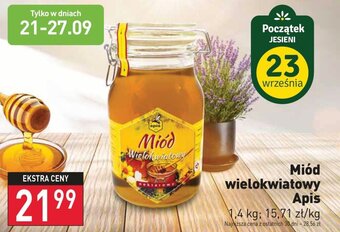 Stokrotka Miód Wielokwiatowy Apis 1,4kg oferta