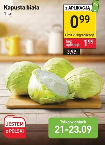 Stokrotka Kapusta biała 1 kg oferta