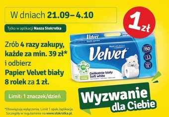 Stokrotka Papier Velvet biały 8 rolek oferta