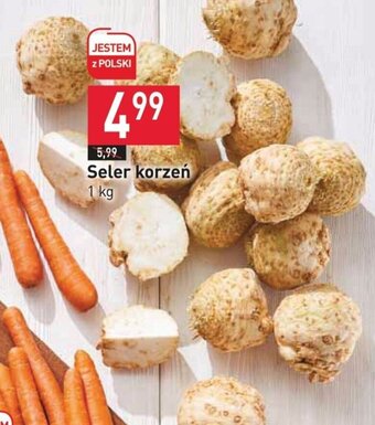 Stokrotka Seler korzeń 1 kg oferta
