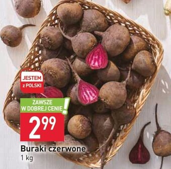 Stokrotka Buraki czerwone 1 kg oferta