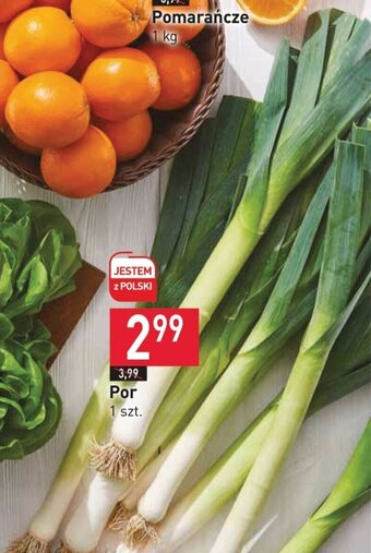 Stokrotka Por 1 szt. oferta