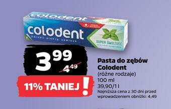 Netto Pasta do zębów colodent oferta