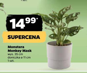 Netto Monstera monkey mask oferta