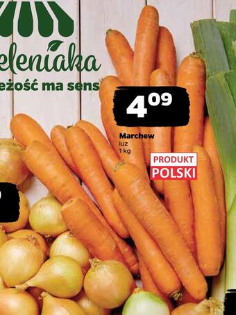 Netto Marchew oferta