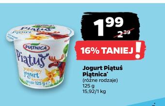 Netto Jogurt piątuś piątnica oferta