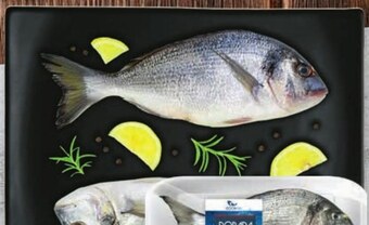 Netto Dorada oferta