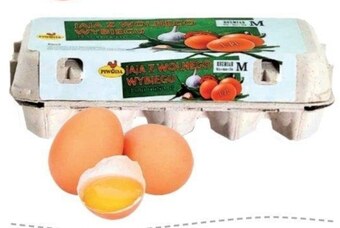 Frac Jajka piwoda oferta