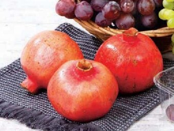 E.Leclerc Granat oferta