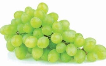 Frac Winogrona oferta