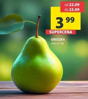 Arhelan Gruszka oferta