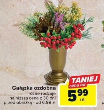 Carrefour Gałązka ozdobna oferta