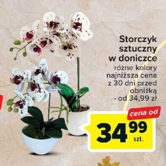 Carrefour Storczyk sztuczny w doniczce oferta