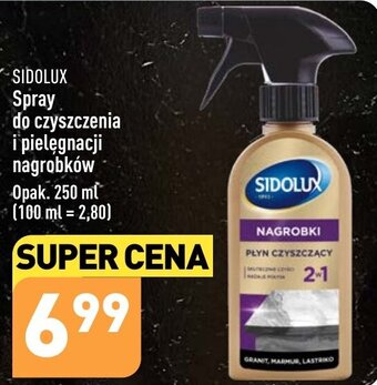 ALDI SIDOLUX Spray do czyszczenia i pielęgnacji nagrobków Opak. 250 ml oferta