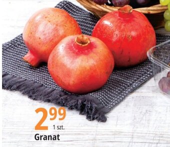E.Leclerc Granat 1 szt. oferta