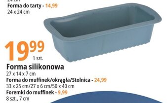 E.Leclerc Forma silikonowa 27x14x7cm oferta