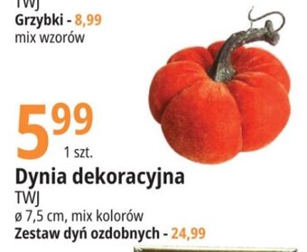 E.Leclerc Dynia dekoracyjna oferta