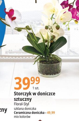 E.Leclerc Storczyk w doniczce sztuczny oferta