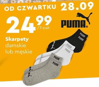 Biedronka Skarpety damskie lub męskie oferta