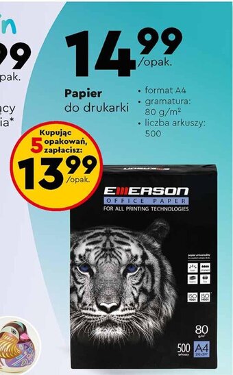 Biedronka Papier do drukarki oferta