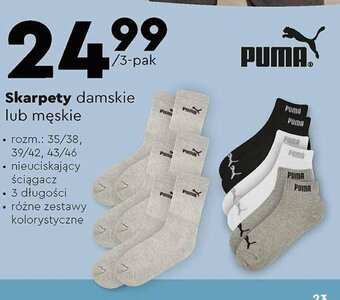 Biedronka PUMA Skarpety damskie lub męskie 3-pak oferta