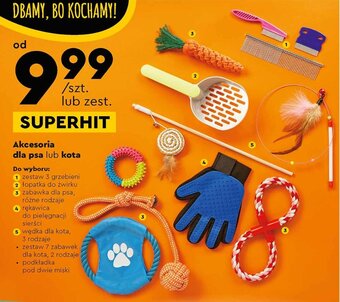 Biedronka Akcesoria dla psa lub kota oferta
