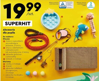 Biedronka Akcesoria dla pupila oferta
