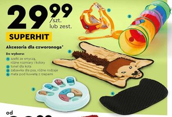 Biedronka Akcesoria dla czworonoga oferta