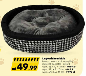 Bricomarche Legowisko niskie oferta