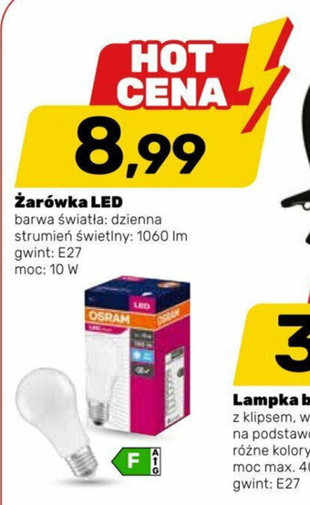 Bricomarche Żarówka LED oferta