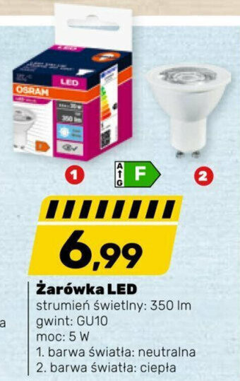 Bricomarche Żarówka LED oferta