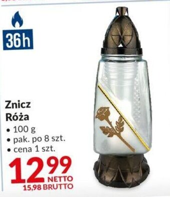 Makro Znicz Róża oferta