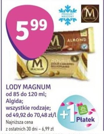 Stokrotka LODY MAGNUM 85-120 ml oferta