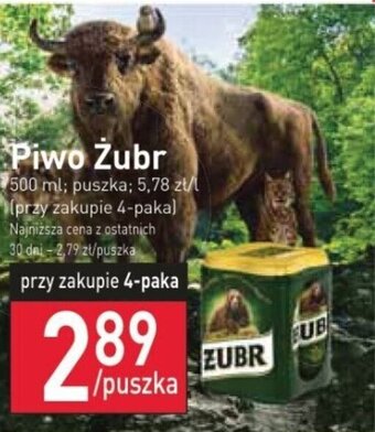 Stokrotka Piwo Żubr 500 ml oferta