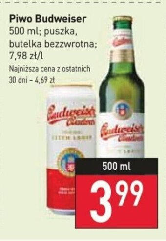 Stokrotka Piwo Budweiser 500 ml oferta