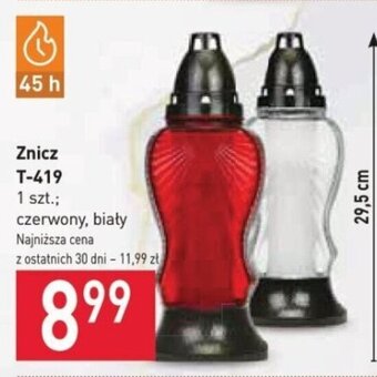 Stokrotka Znicz T-419 oferta