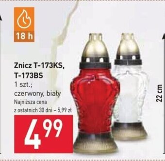 Stokrotka Znicz T-173KS, T-173BS oferta