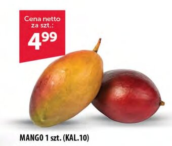 Eurocash MANGO 1 szt. oferta