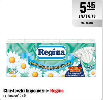 Eurocash Chusteczki higieniczne Regina 10x9szt. oferta