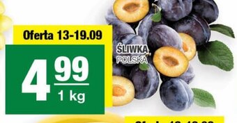 Spar ŚLIWKA 1kg oferta