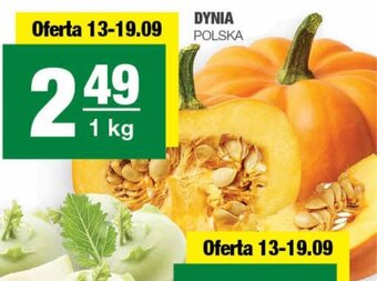 Spar DYNIA 1kg oferta