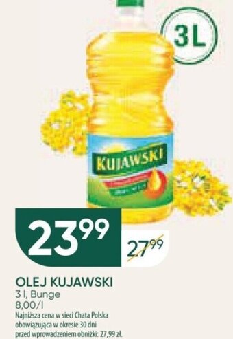 Chata Polska OLEJ KUJAWSKI 3 l oferta