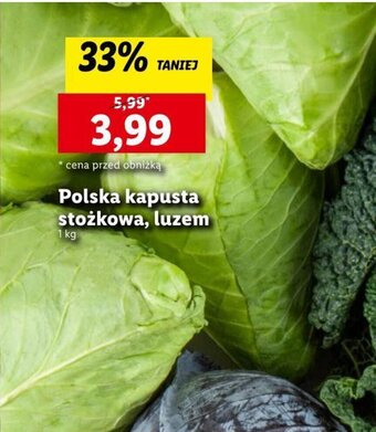 Lidl Polska kapusta stożkowa, luzem 1 kg oferta