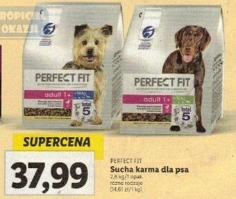 Lidl PERFECT FIT Sucha karma dla psa 2,6kg oferta
