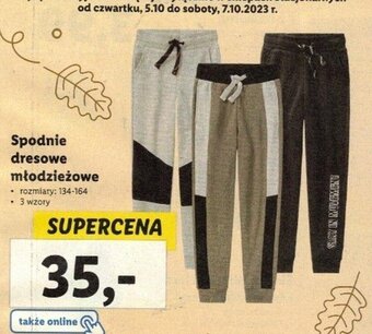 Lidl Spodnie dresowe młodzieżowe oferta