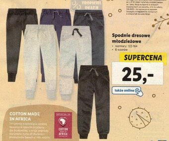 Lidl Spodnie dresowe młodzieżowe oferta
