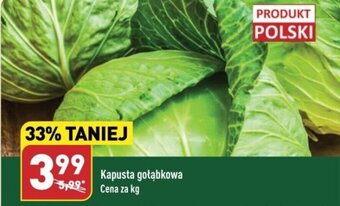 ALDI Kapusta gołąbkowa 1kg oferta