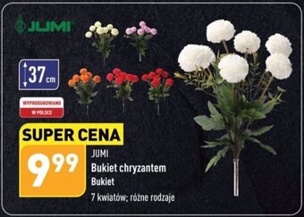 ALDI JUMI Bukiet chryzantem oferta